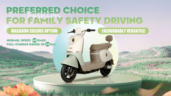 European electric two-wheeler market in 2024 Young people are adopting soft mobility