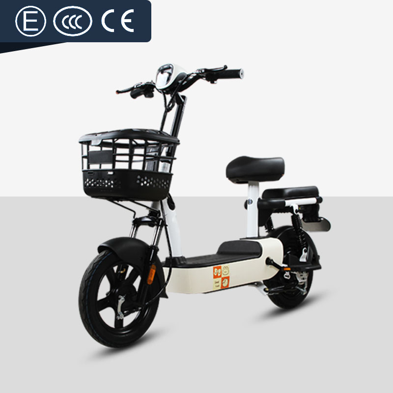 electric motorbike for adults (1)