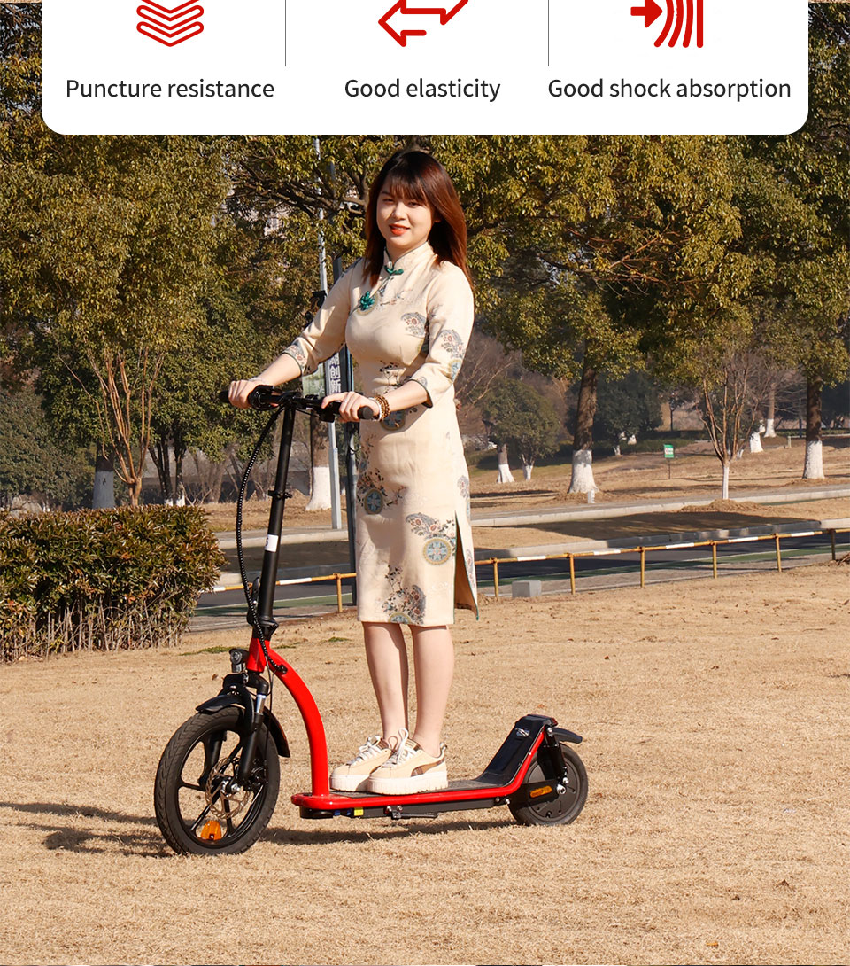 C2 350W 36V 8Ah12Ah16Ah 25KmH Big Front Wheel Folding Electric Scooter Detail02