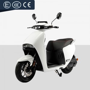 Electric Motorcycle With Pedal 2000W 72V 50Ah 45kmh (EEC Certification)(Model GOGOPLUS) images001
