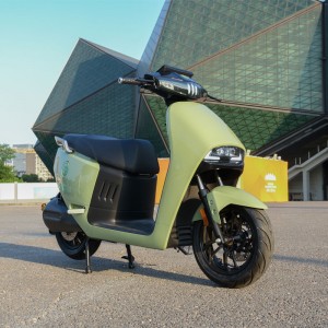 Electric Motorcycle With Pedal 2000W 72V 50Ah 45kmh (EEC Certification)(Model GOGOPLUS) images2
