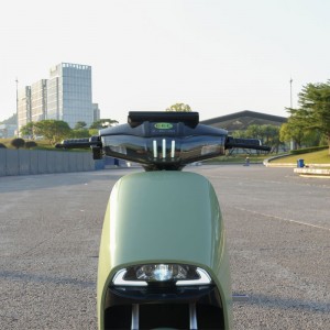 Electric Motorcycle With Pedal 2000W 72V 50Ah 45kmh (EEC Certification)(Model GOGOPLUS) images3