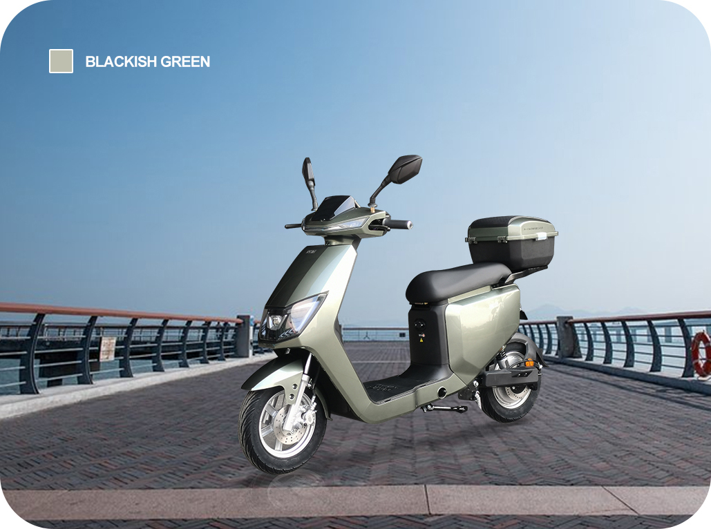Cyclemix Electric Moped Y9-01 Details
