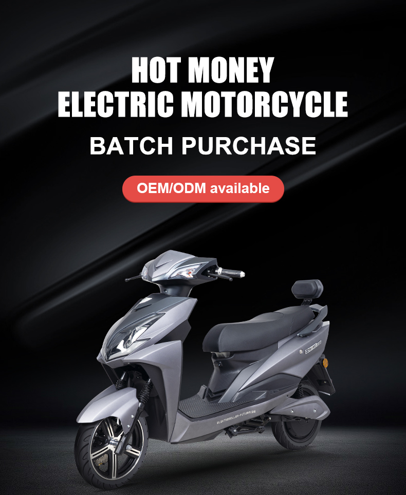 OPY-EM005 Max Speed 55Km/H Max Range 65Km Electric Motorcycle Details 1